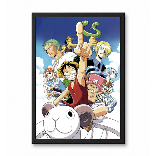 Cuadro One Piece
